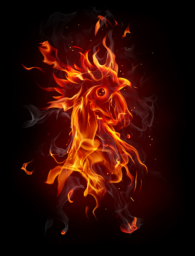 Rooster cover design fiery fire hot photoshop poster red rooster