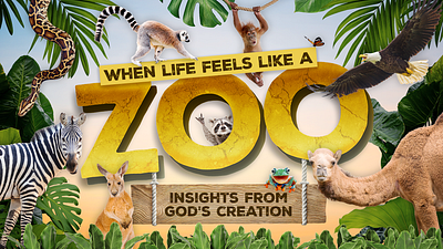 When Life Feels Like a Zoo animals church graphic design photoshop zoo