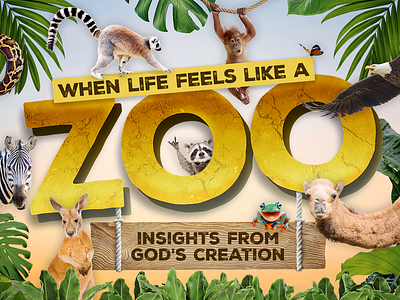 When Life Feels Like a Zoo animals church graphic design photoshop zoo
