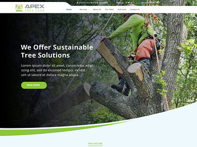 apex tree care website redesign design elementor figma graphic design ui ux web development web sesign website wix wordpress