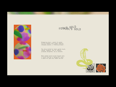 Fool's Gold collage design graphic design illustration poem poetry typography