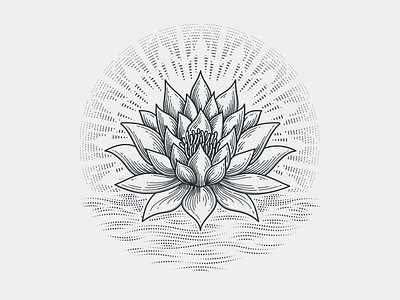 Lotus Flower engraving etching flower illustration line art print scratchboard woodcut