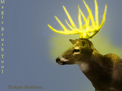 Raindeer Horn Editing in PS photoshop