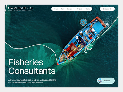 MarFishEco Fisheries Consultants design desktop ui ux web design website