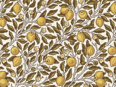 Lemon pattern for Morris Vodka label engraving etching lemon morris pattern pen and ink vector engraving