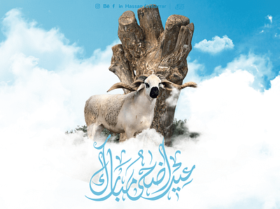 Eid adha | adobe photoshop design arabic calligraphy and lettering artist celebration eid adha eid uladha greeting hajj illustration mutton sheep typography design