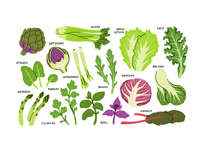 Greens set cartoon concept design eating flat food fresh green healthy herbs illustration natural set vector