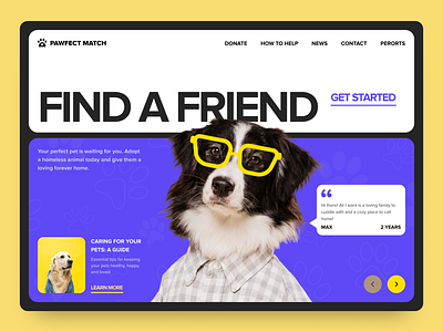 Pet Shelter website adoption animal care dog homeless paw pet shelter ui ux volunteering web design