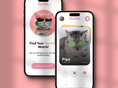 Purrfect - Cat Dating App UI Concept dailyui dating graphic design minimalism openforsuggestions ui uicommunity uigallery