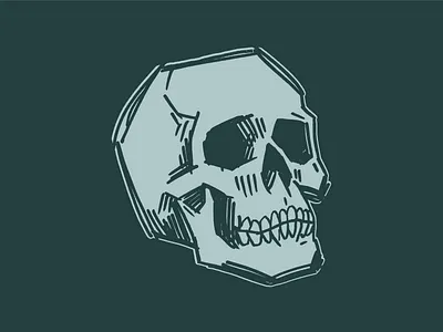 Skull Sketch art bone design illustration sketch skull