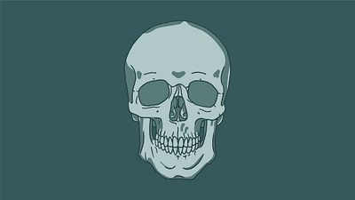 Skull Sketch art bone design drawing graphic design illustration sketch skull