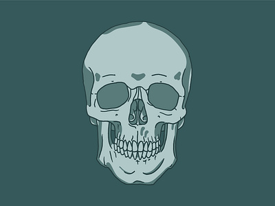 Skull Sketch art bone design drawing graphic design illustration sketch skull