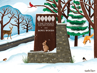 Woodland Creatures animals graphic design holidays illustration procreate texture winter woodland creatures