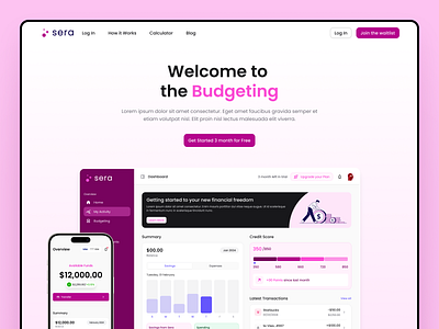 SERA - Budget Landing Page branding graphic design ui