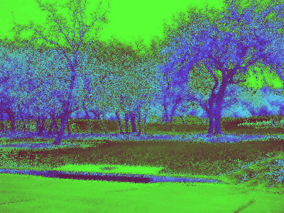 fuzzy image of trees digital art foliage fuzzy hazy illustration photoshop trees