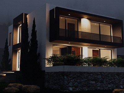 Exterior rendering, Project - Villa Orleans. 3d rendering