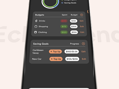 EchoSpend - Savings goal animation app mobile app motion graphics ui ux