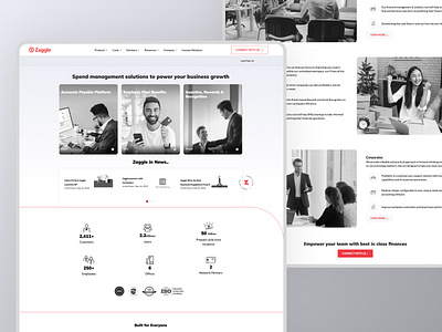 Finances App- Zaggle animation branding graphic design ui