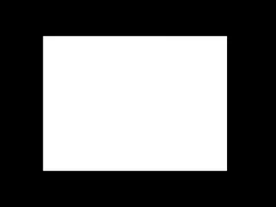 Web portfolio design animation design framer interactive design no code non code portfolio uiux web web design