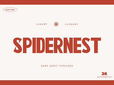 Spidernest - Sans Serif Font 3d animation branding design font graphic design handwritten illustration italic logo logotype motion graphics script typeface ui