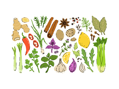 Herbs and spices set cartoon collection concept cooking culinary design flat food herb illustration kitchen natural spice vector