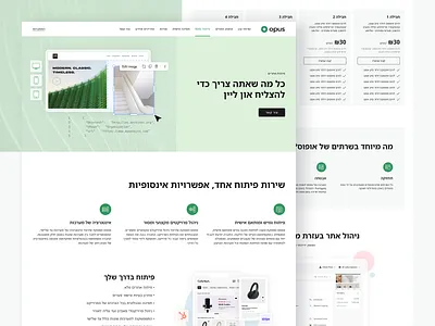 Opus IT Website graphic design it website ui website