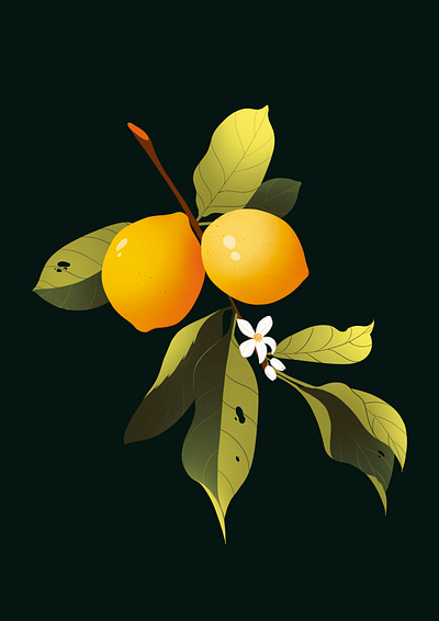 Lemon branch Illustration by delia.ilu digital illustration illustration print
