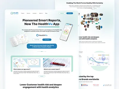 Health Vectors Website - B2C blood report branding creative creative design design education finance fintech fitness health illustration lifestyle marketplace micro interaction payment phonepe ui uiux userinterface websiter