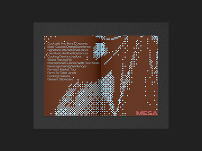Mesa brand identity branding editorial design