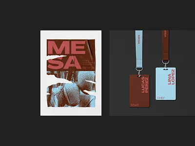 Mesa brand identity branding