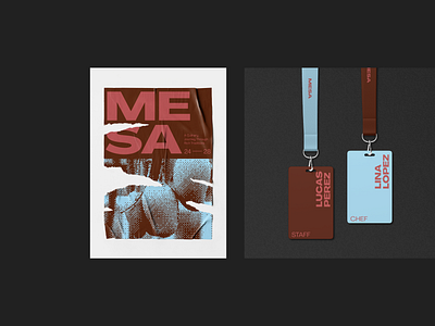 Mesa brand identity branding