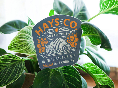 Hays Co. Outfitters - Sticker armadillo branding cactus design graphic design haysco hillcountry illustration illustration art logo nature outdoors outfitters river texas texashillcountry texture typography vector