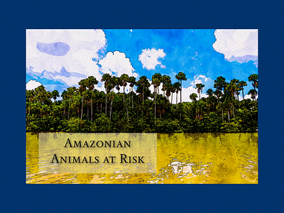 AMAZONIAN ANIMALS AT RISK (Landing Page) after effects amazon animals animation dolphin home page homepage jaguar landing landing page landingpage mobile monkey motion graphics rainforest ui ux web web design website