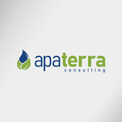 Apa Terra Logo Presentation branding graphic design logo