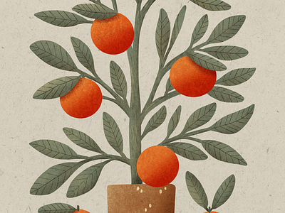 orange tree illustration