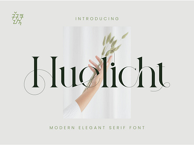 Huelicht - Modern Elegant Serif Font beauty font feminine font stylish stylishtic typography