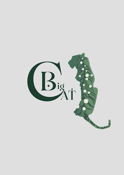 Big Cat Cosmetics graphic design illustration packaging design