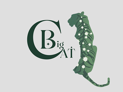 Big Cat Cosmetics graphic design illustration packaging design