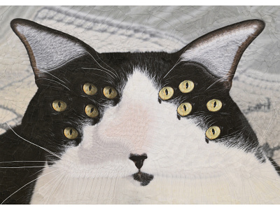Dudley cat cats collage eyes portrait