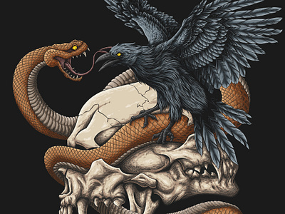 Illustration of a crow fighting with a snake on top of a skull design graphic design illustration