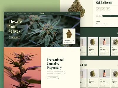 Shopify Store UI/UX Design for Medical Cannabis checkoutexperience customerjourney designthinking ecommercedesign endtoenddesign figma healthtech highfidelitymockups interactiondesign landing page design medicalcannabis product productpagesdesign responsivedesign shop design uidesign usercentereddesign uxdesign visualdesign wireframing