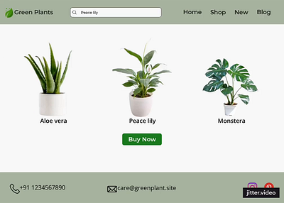 Green Plants: plant website design green green plant indoor indoor plant website indoor plants website new new plant website new webdesign nursery website plant plant website trending ui ux ux design web design website website design