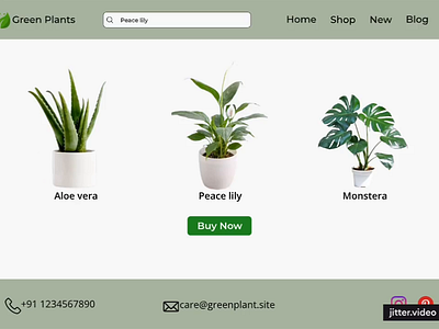 Green Plants: plant website design green green plant indoor indoor plant website indoor plants website new new plant website new webdesign nursery website plant plant website trending ui ux ux design web design website website design