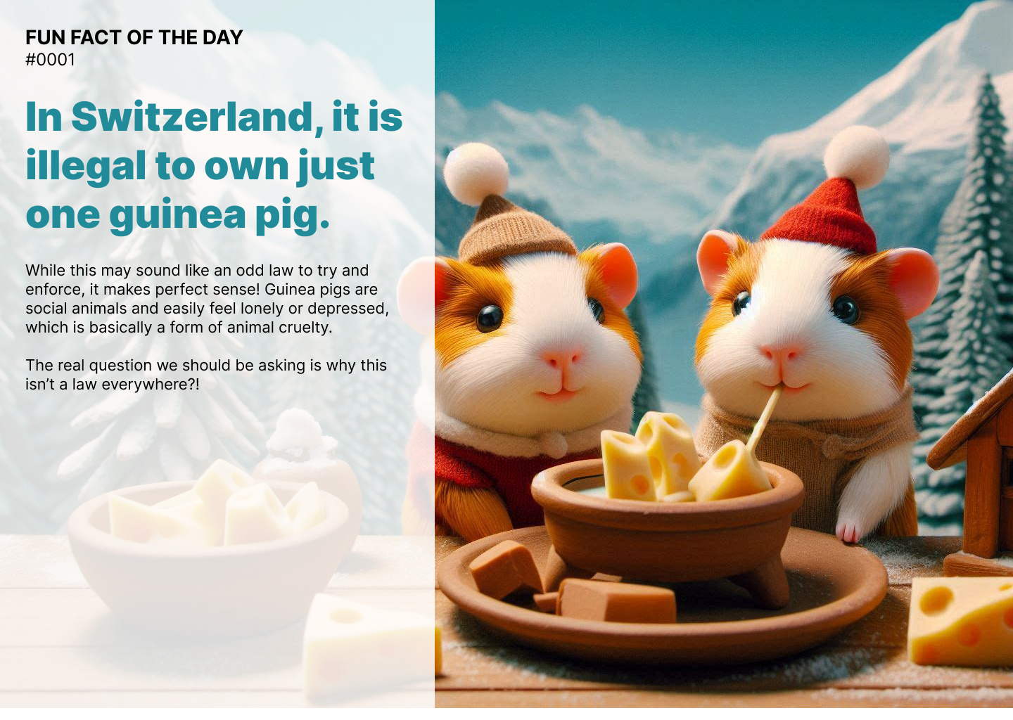 Fun Fact of the Day #0001 fun facts