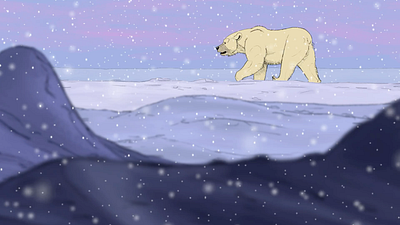 Snow Bear 2d animal animation arctic bear polar bear snow snow bear winter