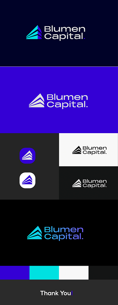 Blumen Capital - Logo Design branding design graphic design logo typography vector visual identity