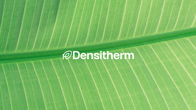 Densitherm graphic design logo ui web design