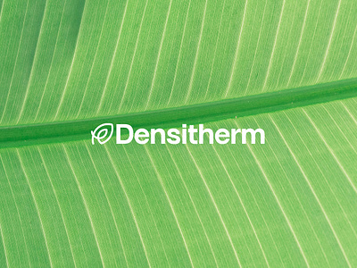 Densitherm graphic design logo ui web design