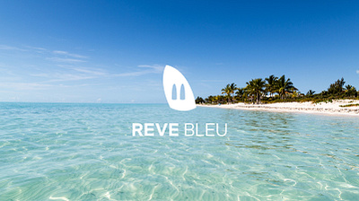 Reve Bleu branding brochure flyer graphic design logo