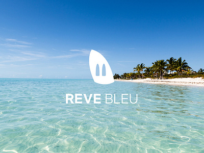 Reve Bleu branding brochure flyer graphic design logo